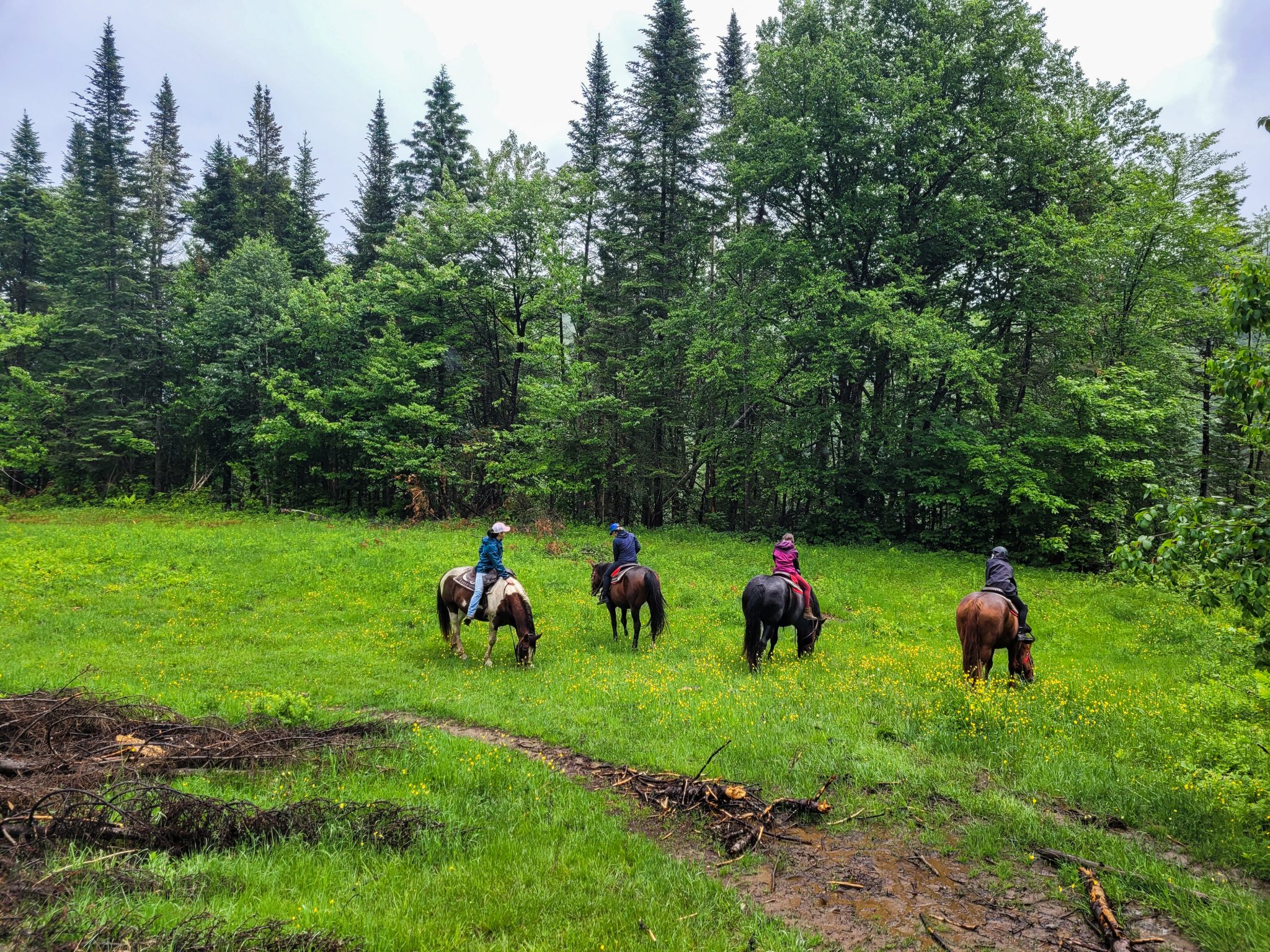 Équitation dans La Jacques-Cartier