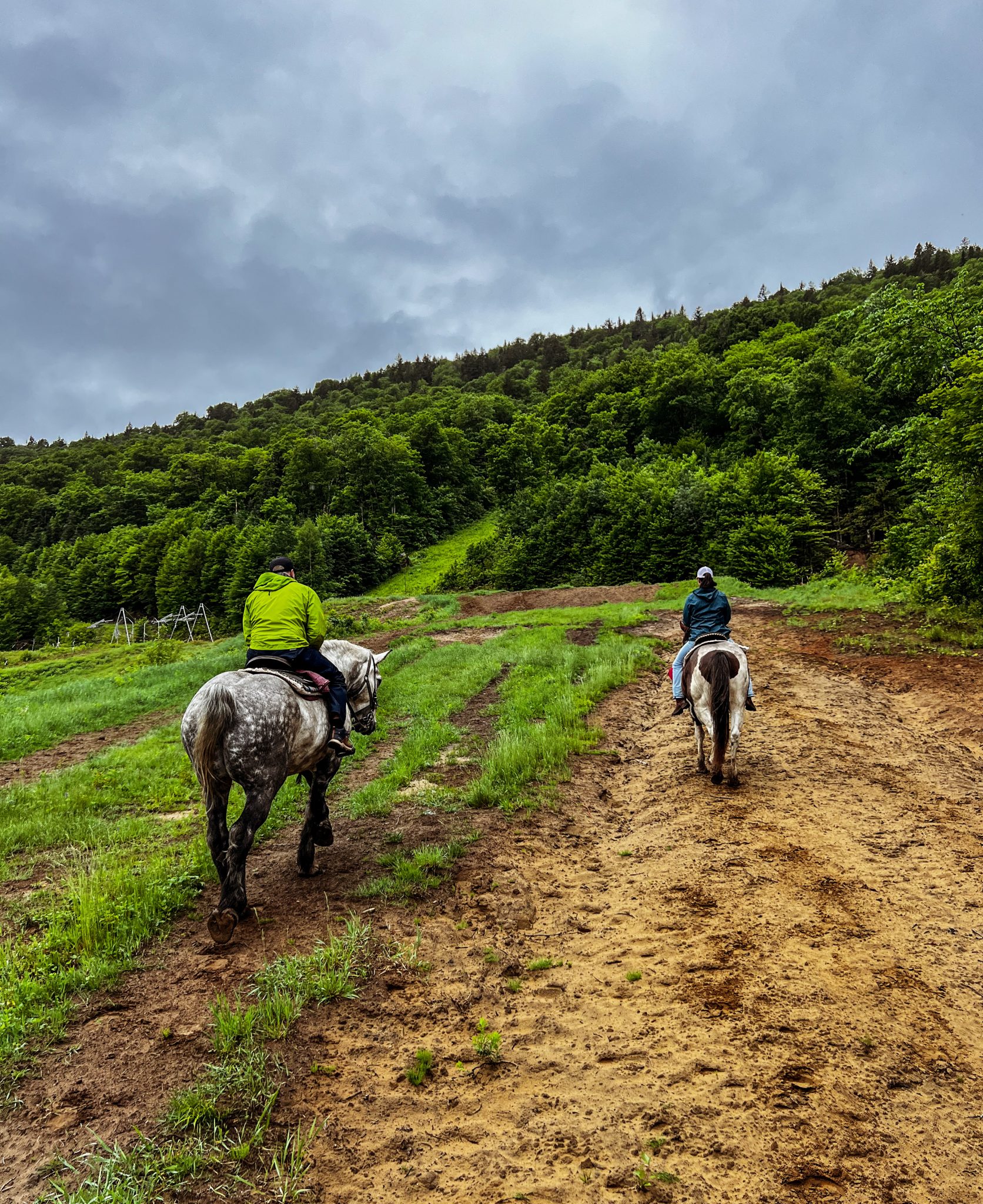 Équitation Jacques-Cartier