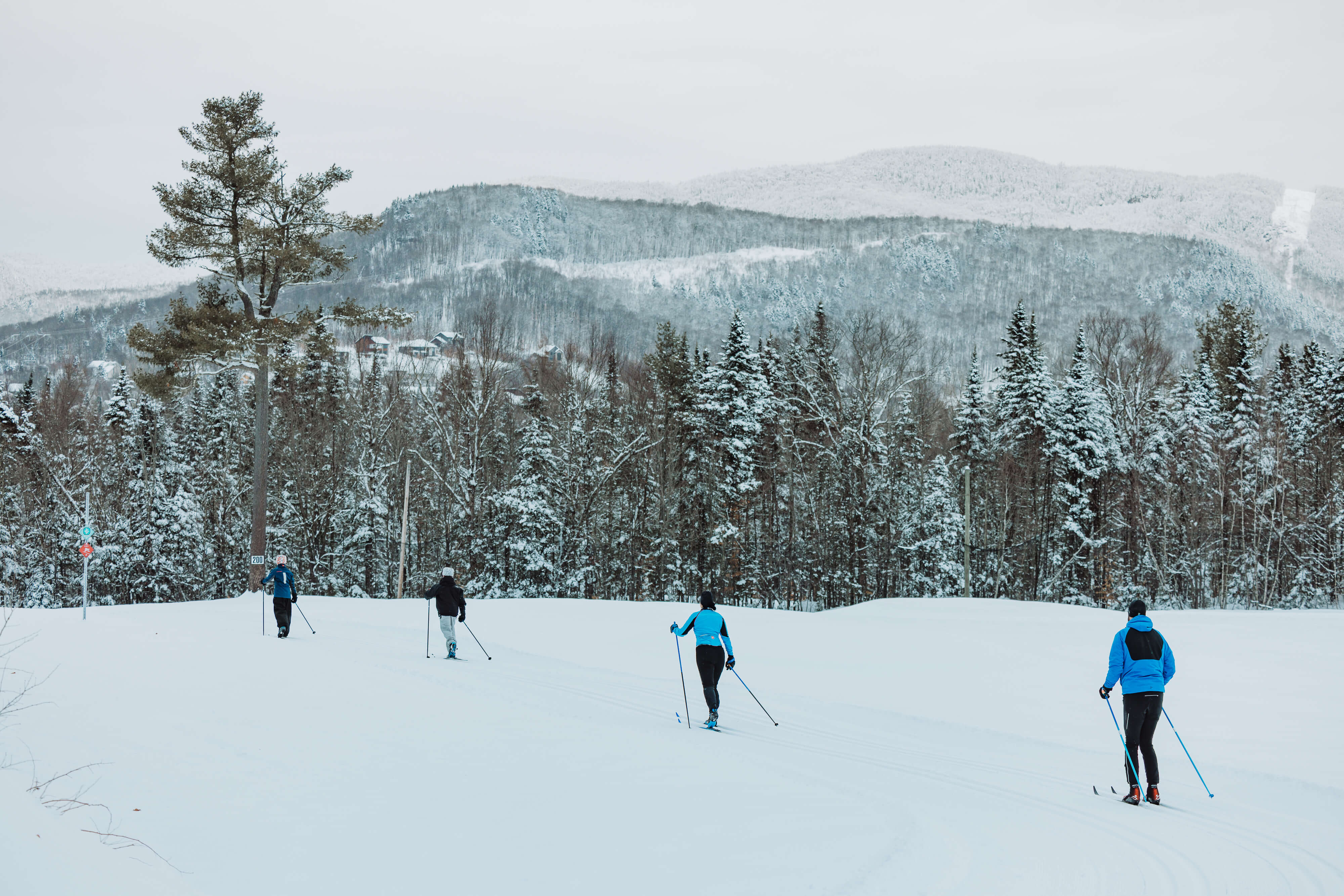 Cross-Country Skiing: 5 destinations in La Jacques-Cartier! 5 Ski de fond Stoneham en famille - Cross-Country Skiing